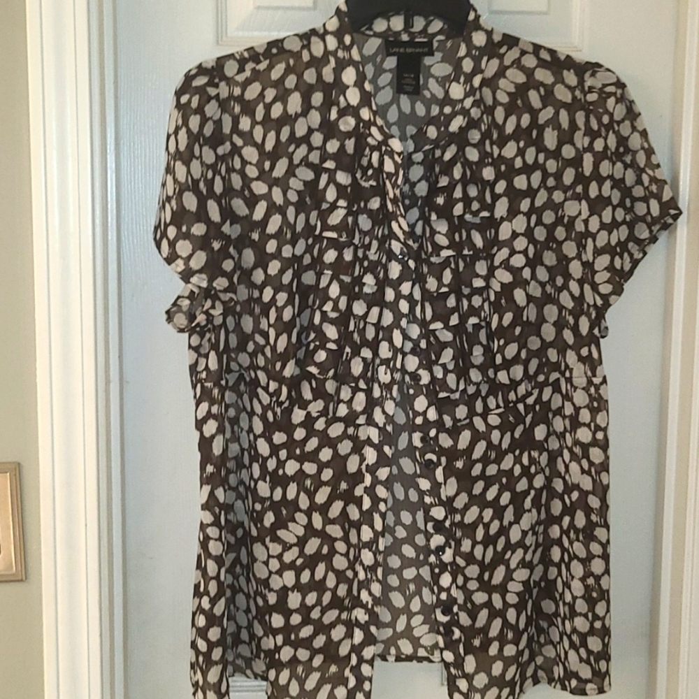 Brown and white sheer bottom down top